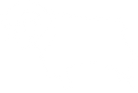 White version