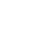 White version