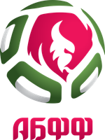 Беларуская Фэдэрацыя Футбола logo