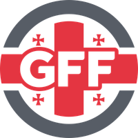 Georgian Football Federation logo