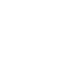 White version