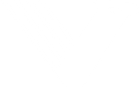 White version